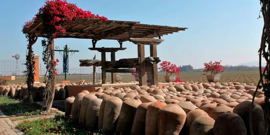 Ica: Winery Tour with Pisco and Wine Tasting - What the tasting is really like
