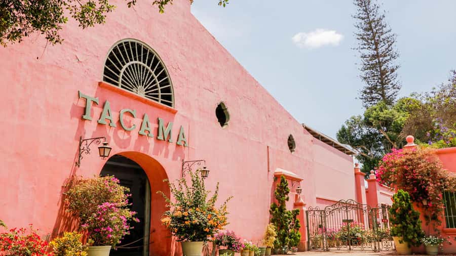 Ica: Winery Tour with Pisco and Wine Tasting - Walking, weather, and who should book