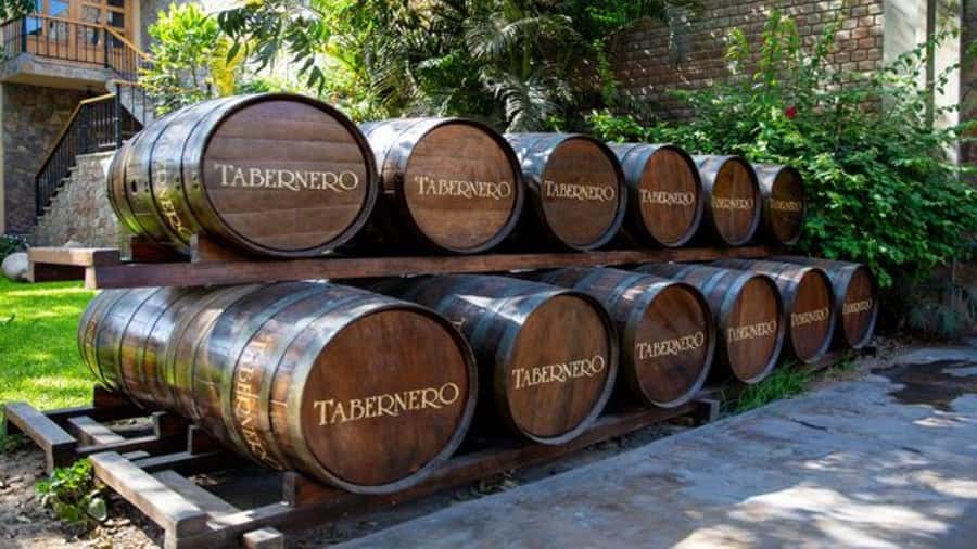 Ica: Winery Tour with Pisco and Wine Tasting - Lazo Winery Museum and its unusual collection