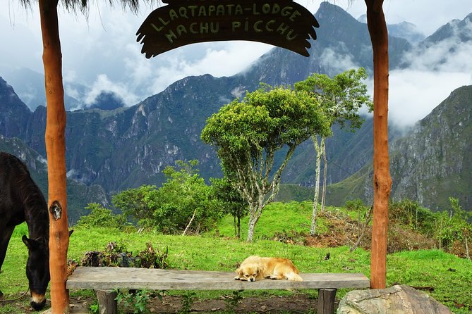 Inca Jungle Premium to Machu Picchu 4-Day and 3-Nights - Day one: Málaga Pass to Santa María by bike