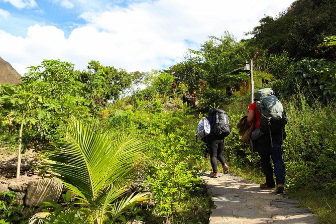 Inca Jungle Premium to Machu Picchu 4-Day and 3-Nights - The guide and group experience