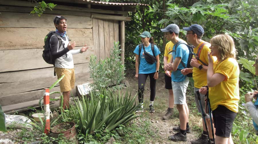 Inca Jungle Trail to Machu Picchu in 4 Days - Key points to know before booking