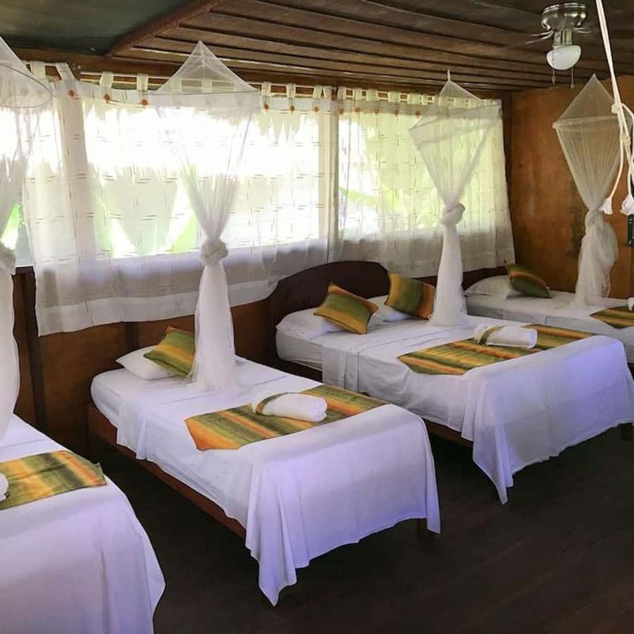 Iquitos: 2 Days and 1 Night Guided Amazon Jungle Tour - Who should book this Amazon tour?