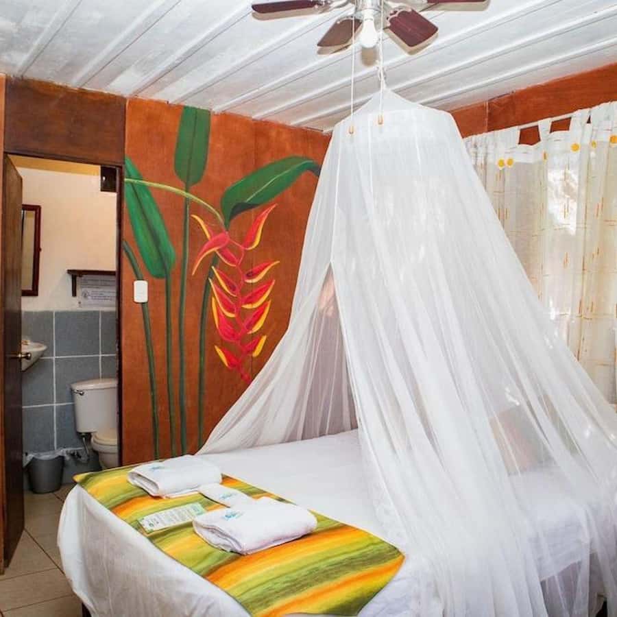 Iquitos: 2 Days and 1 Night Guided Amazon Jungle Tour - The free-animal reserve and return to Iquitos