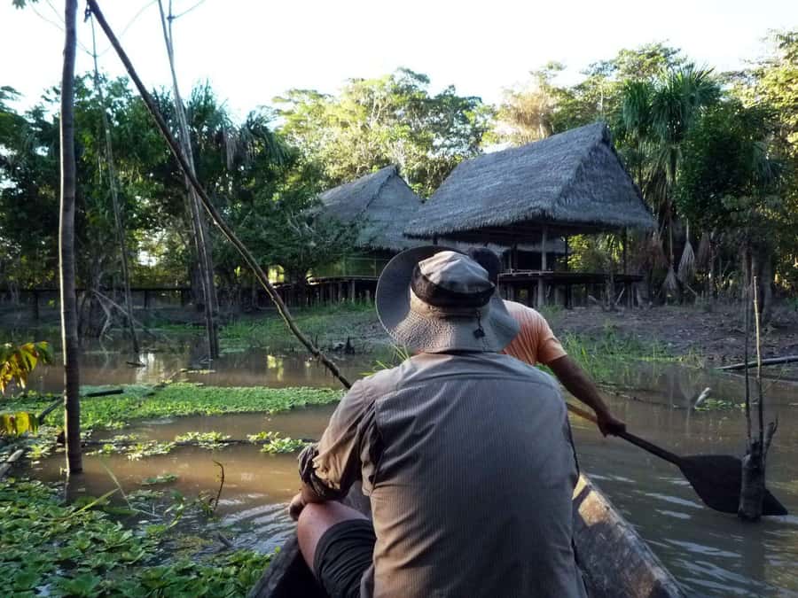 Iquitos: 3 Days and 2 Nights Guided Amazon Jungle Tour - Night sounds, insects, and a different kind of wildlife