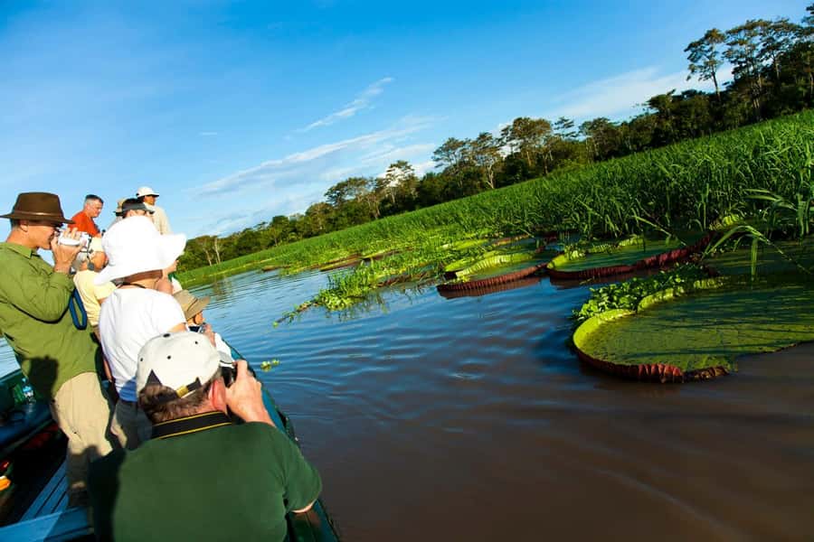 Iquitos: 3 Days and 2 Nights Guided Amazon Jungle Tour - Canopy adventure at 26 meters