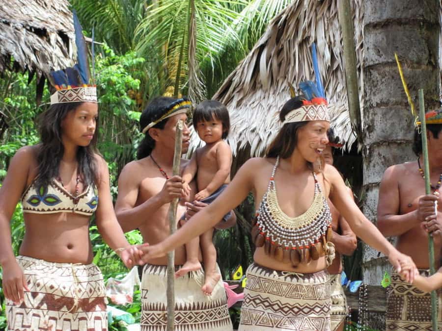 Iquitos: 5 Days inside the Rainforest | Amazon Jungle Tour - Guides, group size, and the style of the experience