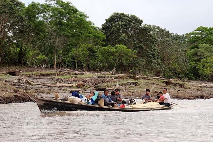 Iquitos: Amazon Jungle in 3 Days: Adventure and Culture - Sunrise birds and rescued Amazon animals