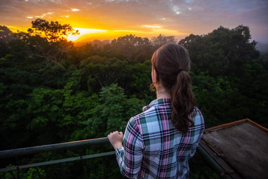 Iquitos: Full Day Tour in the Jungle | Amazon Safari - Dolphin watching on open water