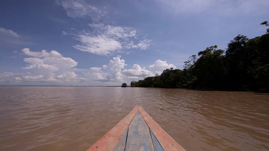 Iquitos: Piranha Fishing Experience in the Amazon jungle - Fishing for piranha where the Itaya meets the Amazon