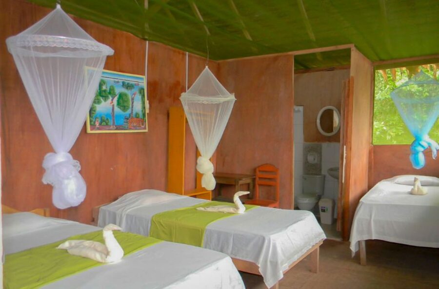 Iquitos to the Amazon: 2-Day Jungle & Wildlife Experience - Sunrise birds and the Yanayacu morning