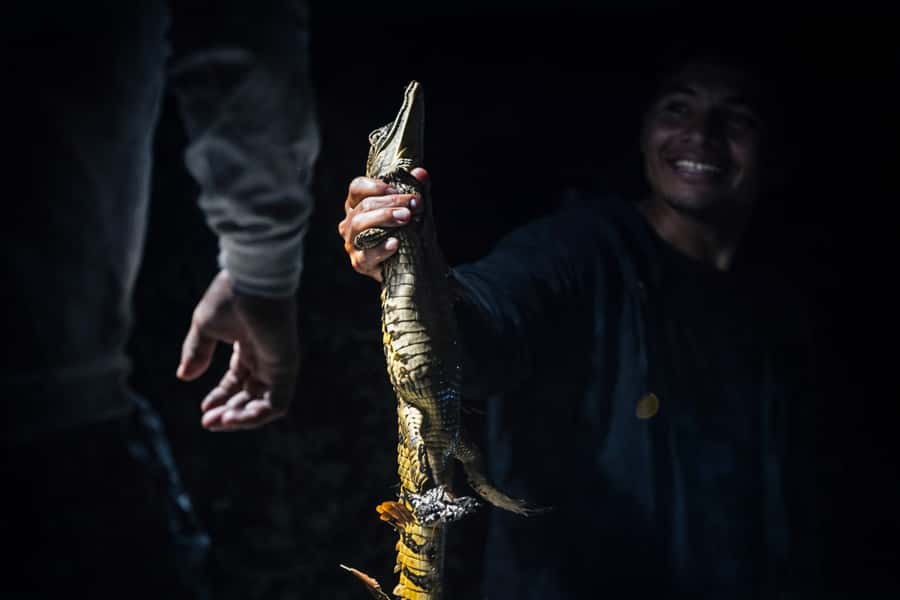 Iquitos to the Amazon: 2-Day Jungle & Wildlife Experience - Indigenous traditions and the Yaguas community