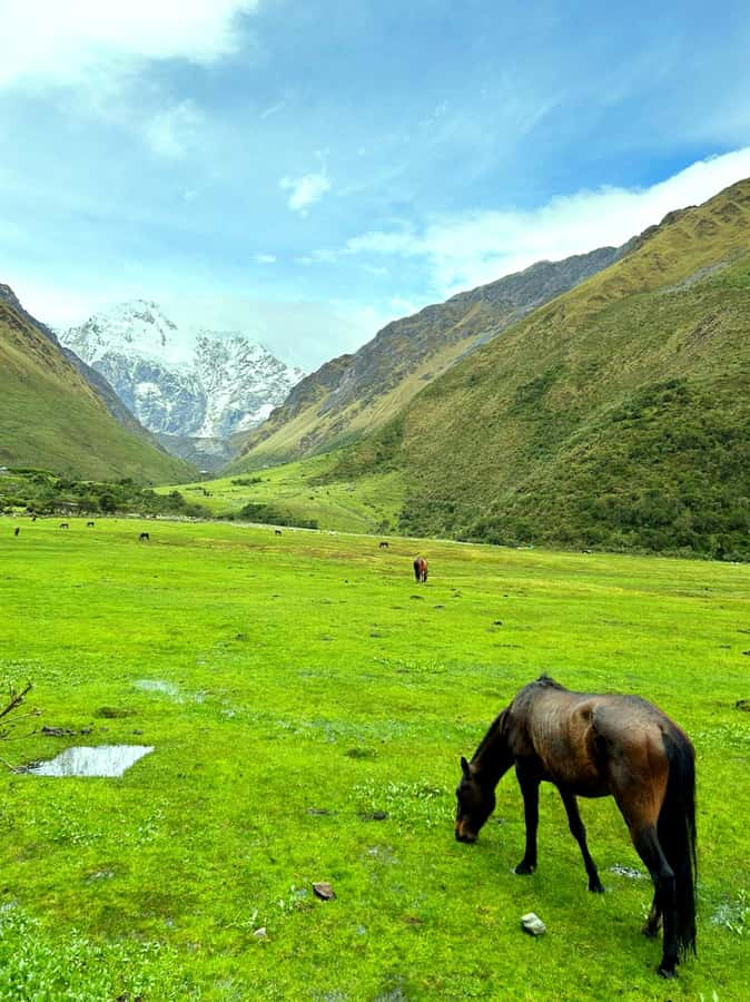 Lagoon Humantay. Full Day Tour with Breakfast and Lunch - Breakfast in Mollepata and the Apurímac River valley