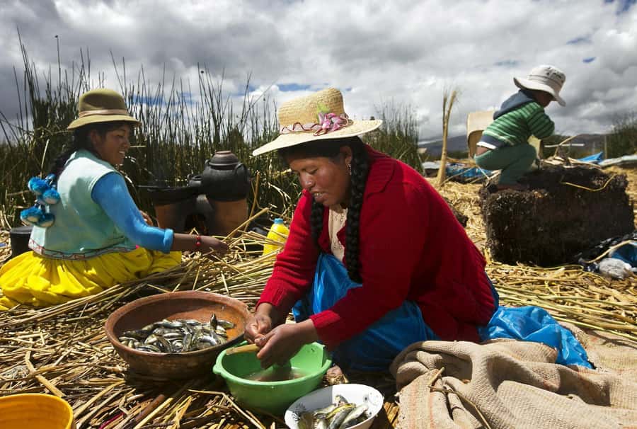 Lake Titicaca, Uros and Taquile Full-Day Tour - Meeting the Uros on Their Floating Islands