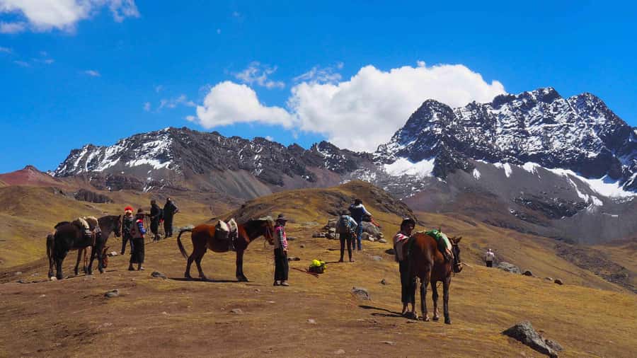 Lima: 7-Day Inca Tour with Flights and Machu Picchu - Ballestas Islands and the Huacachina dunes