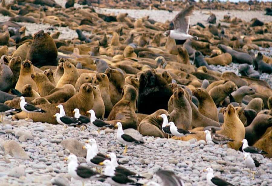 Lima: 7-Day Inca Tour with Flights and Machu Picchu - Cusco requires a careful first day
