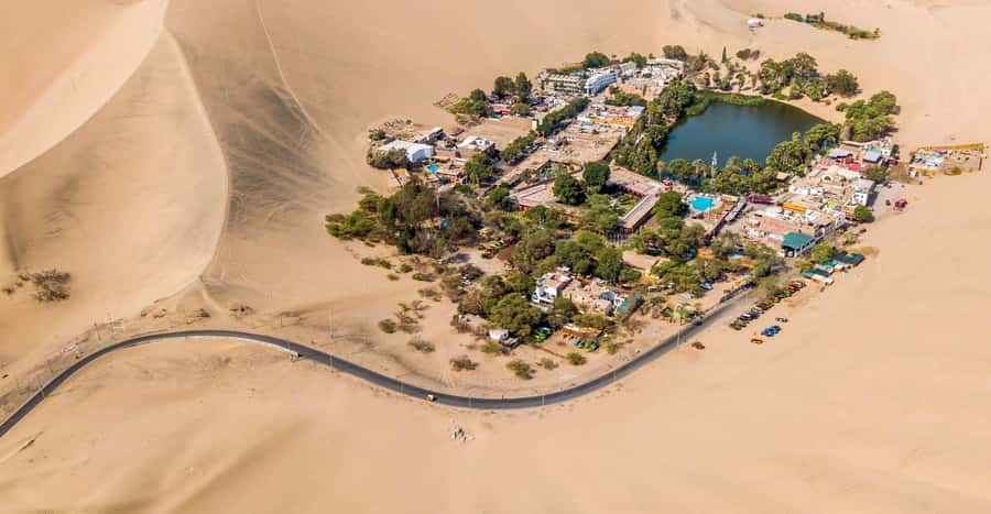 Lima: Ballestas & Huacachina Day Trip w/ Nazca Lines Flight - Ballestas Islands and the wildlife of Paracas Bay