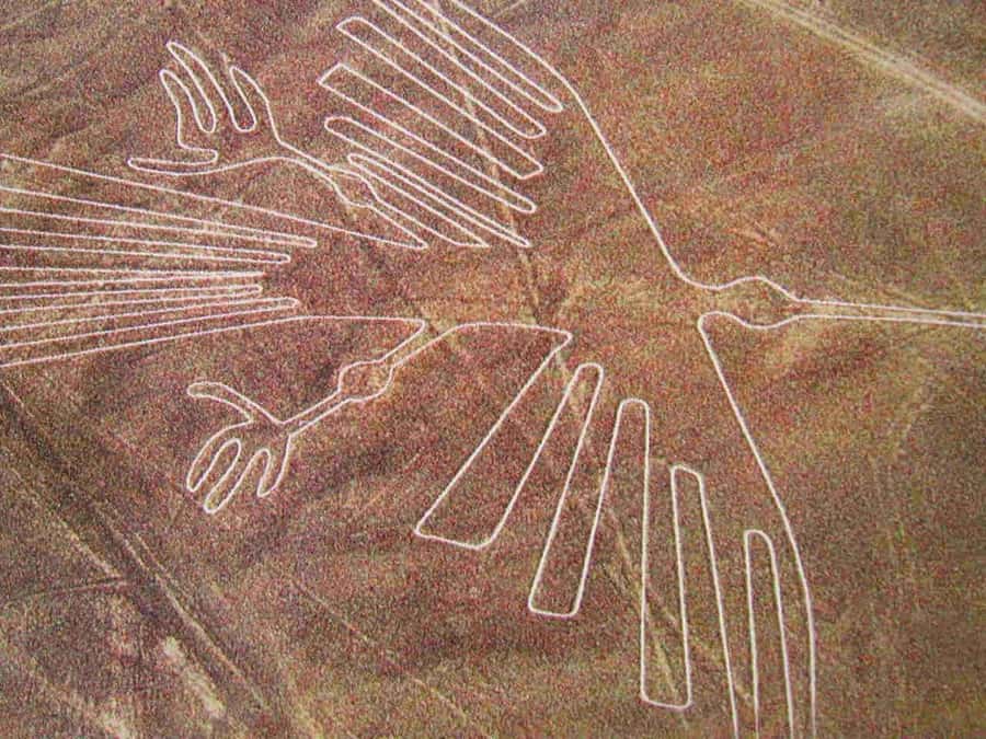 Lima: Ballestas Islands, Huacachina Oasis & Nazca Lines Tour - The Nazca Lines from a small Cessna