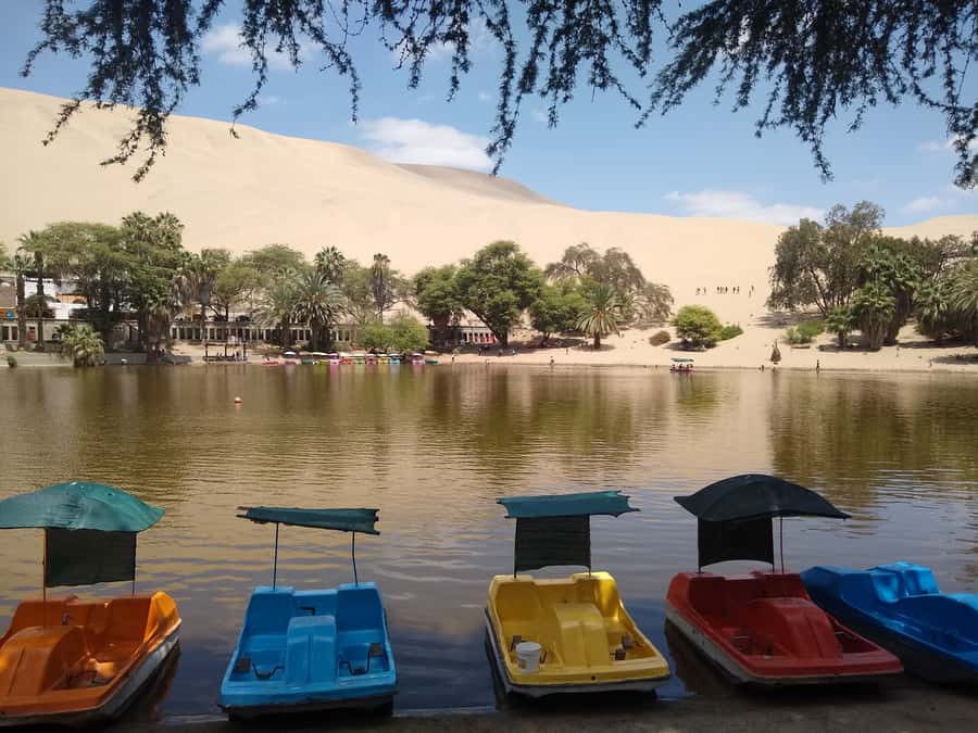 Lima: Ballestas Islands, Huacachina Oasis & Nazca Lines Tour - Is $625 a fair price?