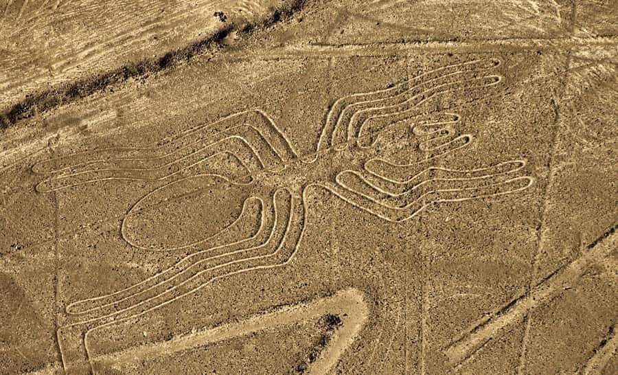 Lima: Ballestas Islands, Huacachina Oasis & Nazca Lines Tour - Who should book this experience?