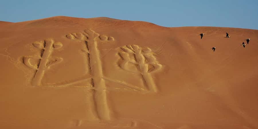 Lima: Ballestas Islands, Winery and Nazca Lines Private Tour - Key points to know before booking