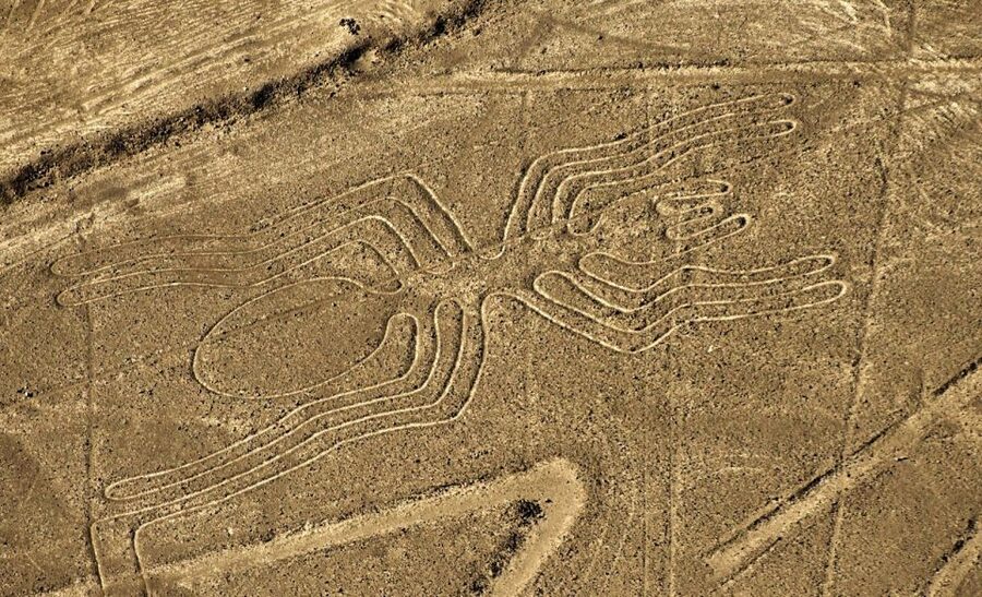 Lima: Ballestas Islands, Winery and Nazca Lines Private Tour - Seeing the Nazca Lines from a Cessna 208 Caravan