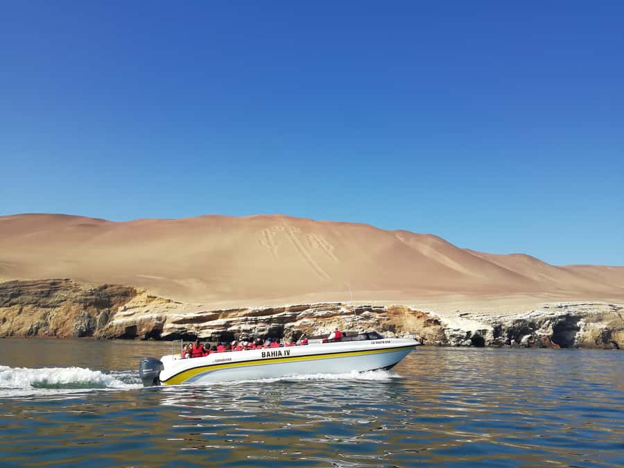 Lima: Ballestas Islands, Winery and Nazca Lines Private Tour - Lunch in Paracas after the flight