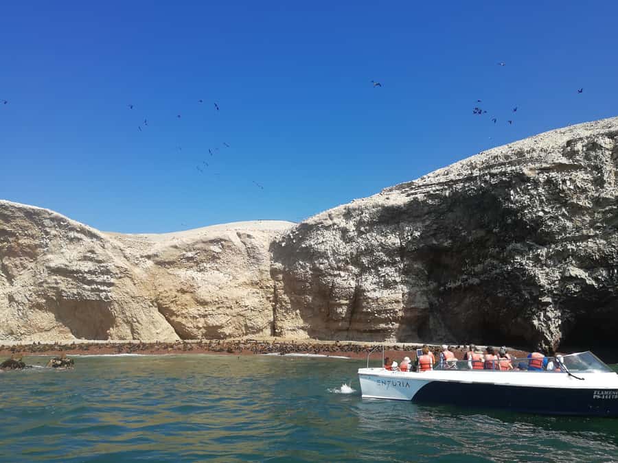 Lima: Ballestas Islands, Winery and Nazca Lines Private Tour - Ballestas Islands, sea lions, and sharp coastal rock