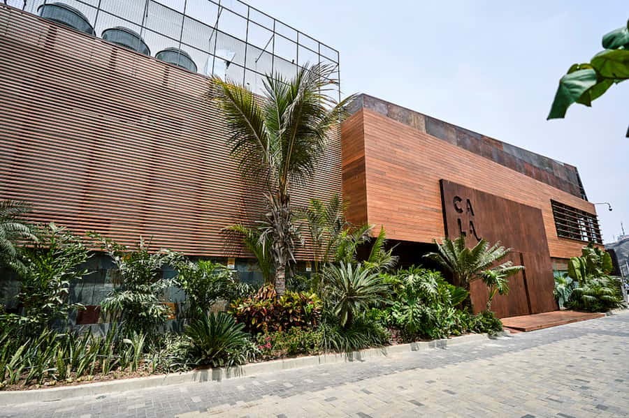 Lima: Demo Cooking Class with Lunch at Cala Restaurant - Is $90 a Fair Price in Lima?
