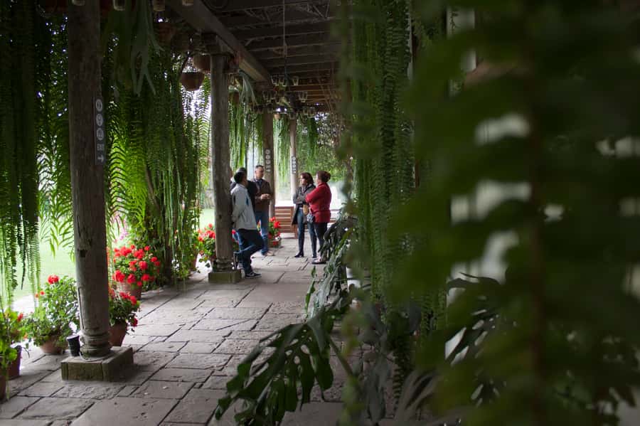 Lima: Half-Day Colonial Lima and Larco Museum Tour - Plaza Mayor and Lima Cathedral