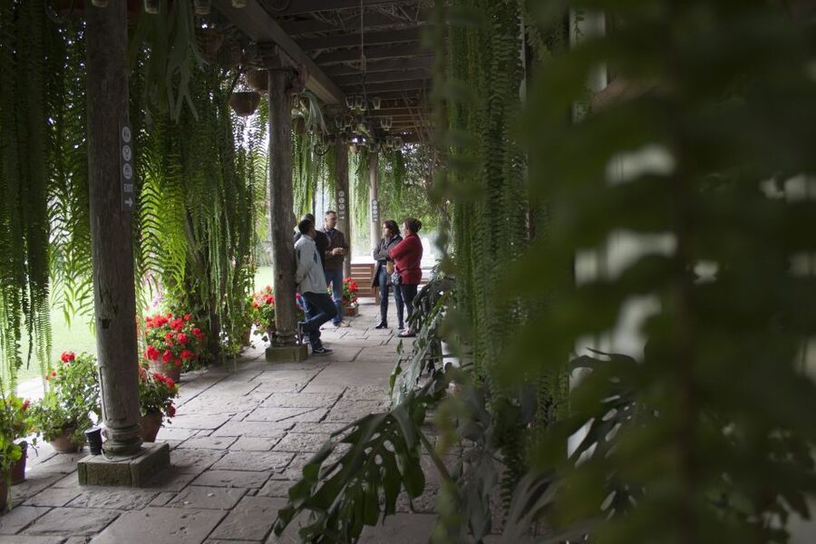 Lima: Half-Day Colonial Lima and Larco Museum Tour - The guide makes the tight schedule work