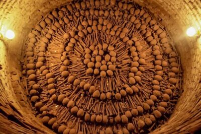 Historic Downtown, Miraflores & Catacombs Private Tour