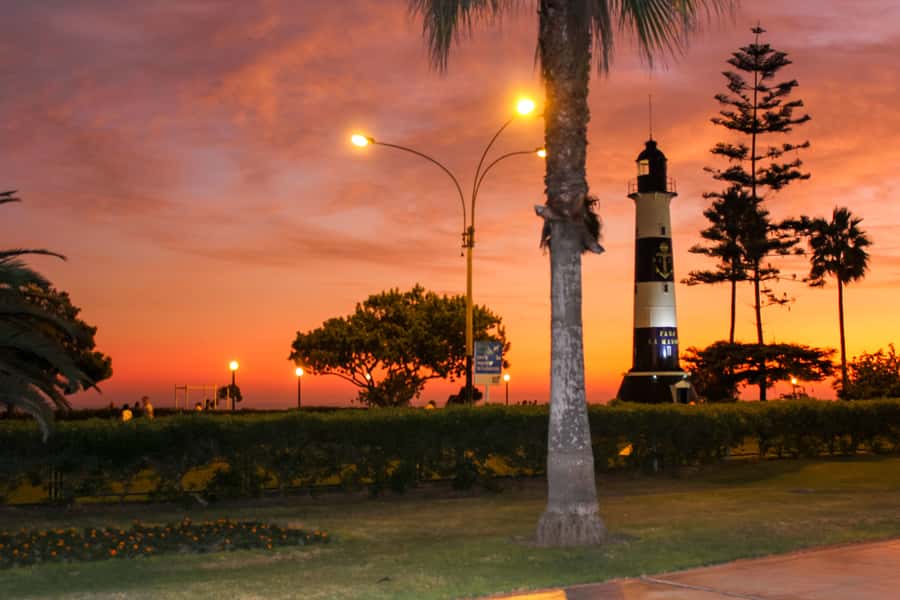 Lima: Historic Downtown, Miraflores & Catacombs Private Tour - El Olivar, olive trees in the city