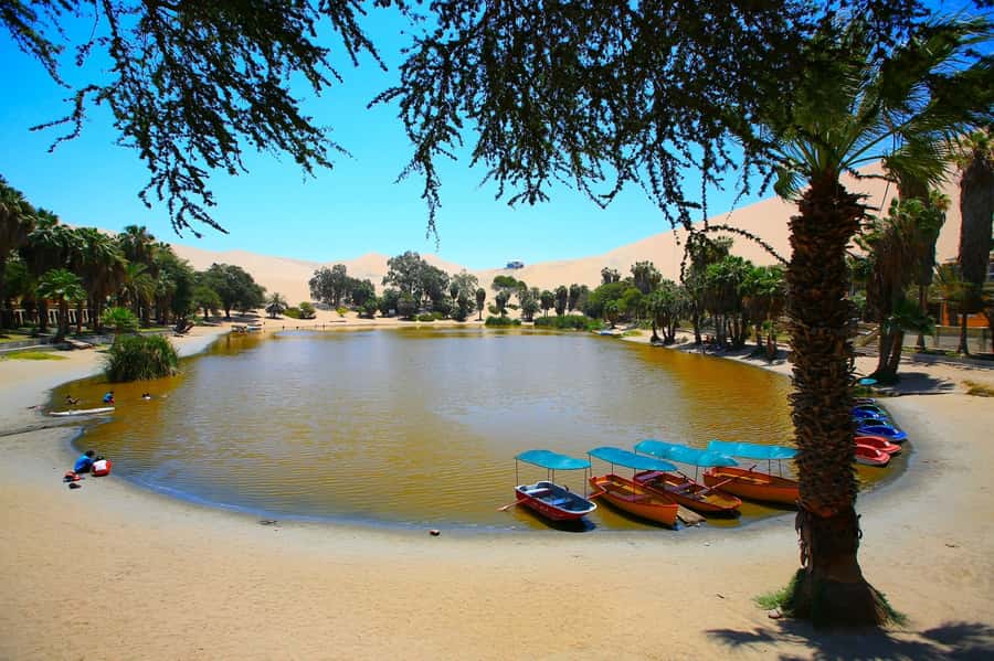 Lima: Huacachina, Winery, & Nazca Lines from Pisco Airport - Does the $620 price offer good value?