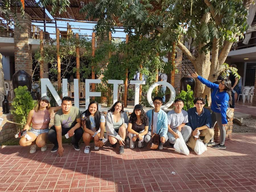 Lima: Huacachina, Winery, & Nazca Lines from Pisco Airport - Should you book the Nazca and Huacachina day trip?