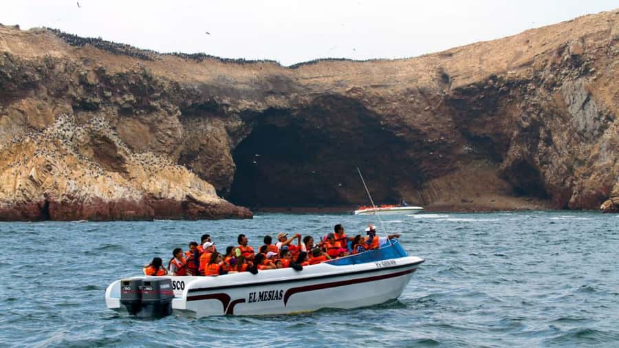 Lima | Islas Palomino Tour | Swim with Sea Lions - San Lorenzo Island and the open Pacific