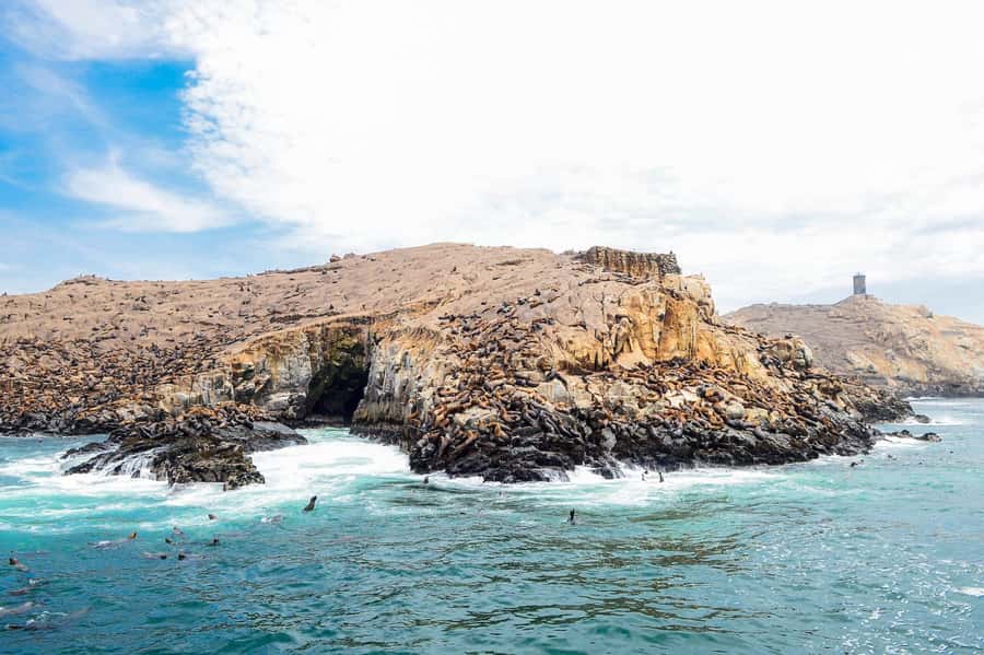 Lima | Islas Palomino Tour | Swim with Sea Lions - Weather is the one major variable