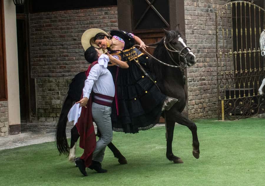 Lima: Magic Water Circuit and Dinner Show Tickets - Guide service, transport, and timing