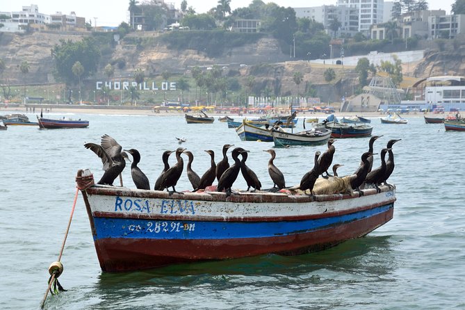 Lima Off the Beaten Path: Local Communities and Cultural Immersion - San Juan de Miraflores and the human settlements