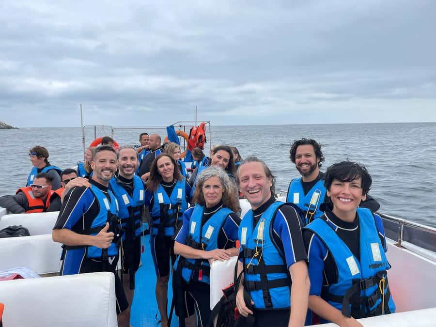 Lima: Palomino Islands Speedboat Tour & Swim with Sea Lions - Key points to know before booking