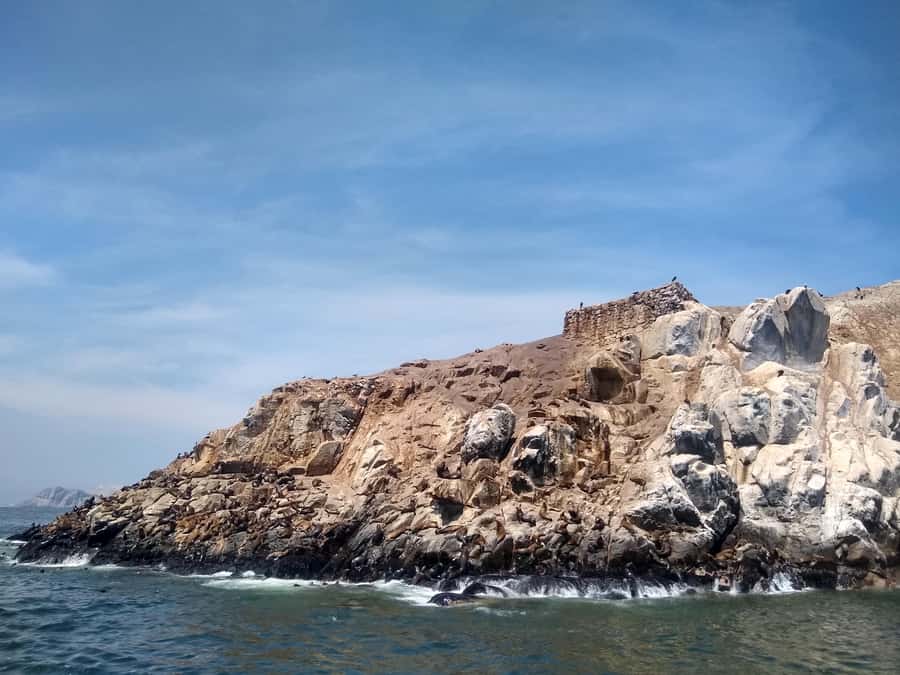 Lima: Palomino Islands Speedboat Tour & Swim with Sea Lions - Booking, timing, and cancellation
