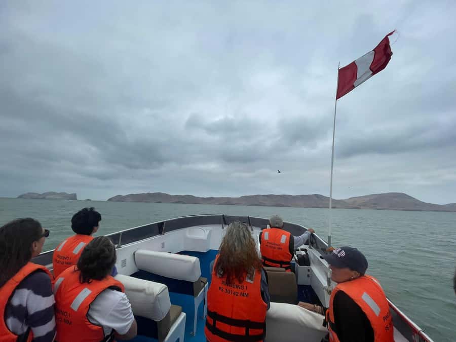 Lima: Palomino Islands Speedboat Tour & Swim with Sea Lions - Who will enjoy this tour most?