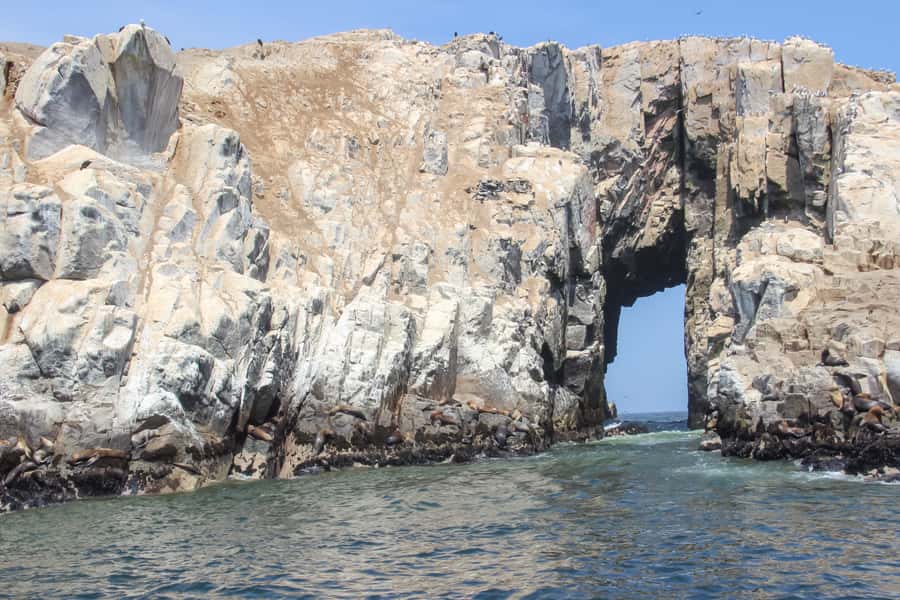 Lima: Palomino Islands Speedboat Tour & Swim with Sea Lions - The 45-minute ride to Callao Harbor