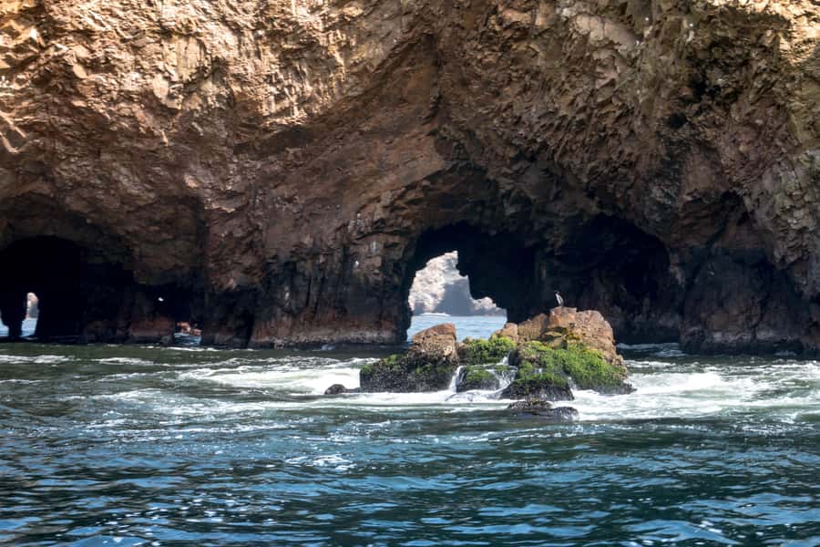 Lima: Paracas & Huacachina Oasis Day Trip with Wine & Dunes - CulturPisco and the Ica wine valley