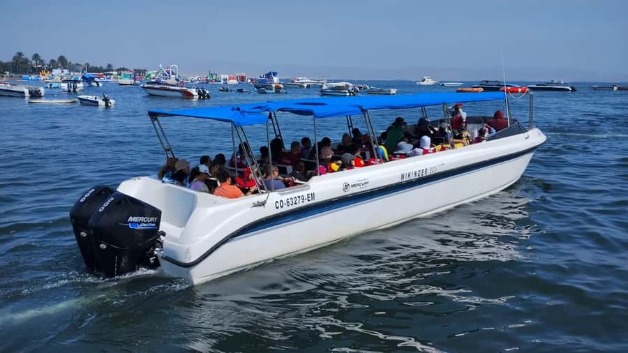 Lima: Paracas & Huacachina Oasis Day Trip with Wine & Dunes - The long ride back to Lima