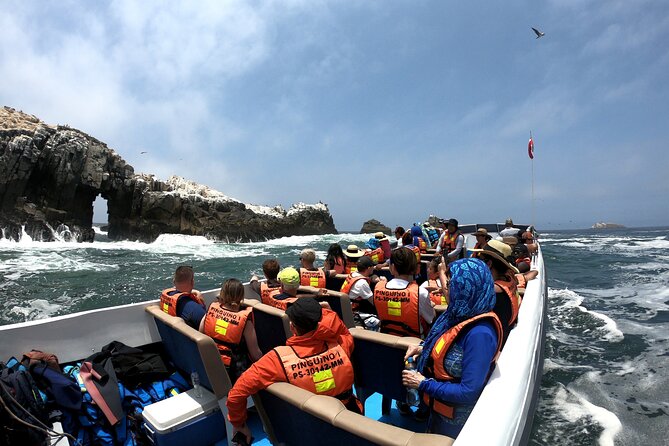Lima Peru Sea Lions, History and Palomino Callao Islands - Palomino Islands and the sea lion encounter