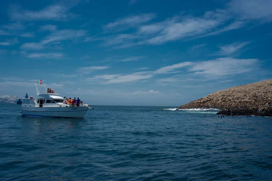 Lima: Sea Lion Swim and Wildlife Palomino Islands Cruise - Key points at a glance