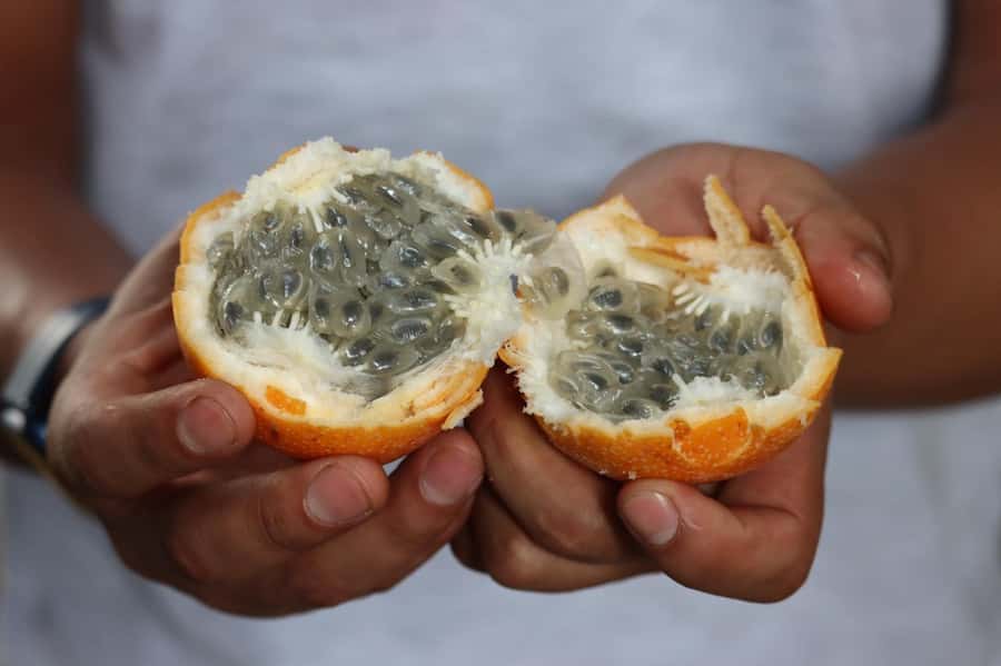 Lima: Shanty Town Exploration - A Traditional Market With Fresh Fruit to Try