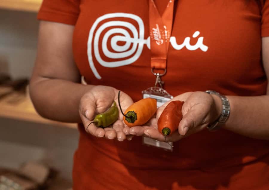 Lima: Ultimate Peruvian Food Tour - Why Barranco is a smart place for a Lima food tour