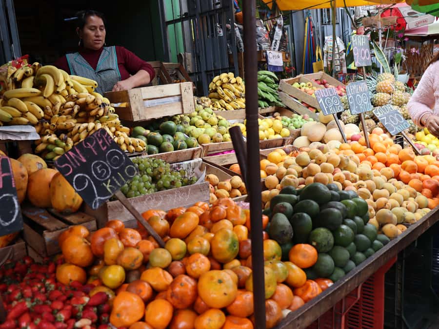 Lima: Villa El Salvador Shanty Town Tour - Walking the planned hillside community